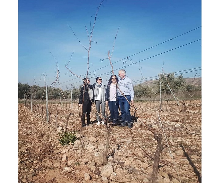 Bodegas Nestares Eguizabal Rioja Wein Segares Cortes GourMed A Veredas
