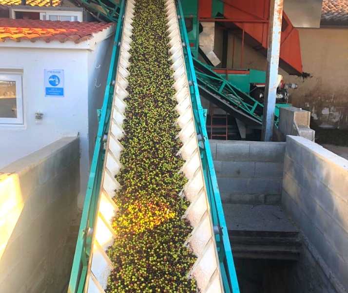 frescolio spanien arbequina olivenöl cortes gourmed ungefiltert olivenöl